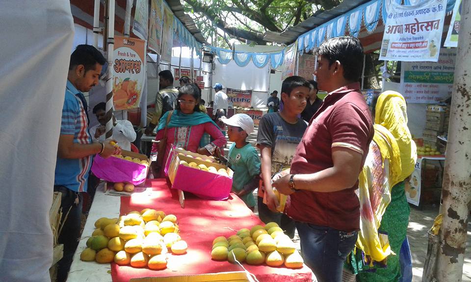 सातबारा पडताळणी